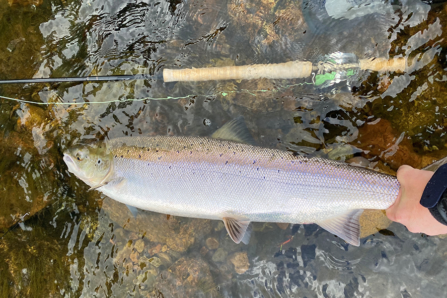 Fishing at Glenmuick Estate